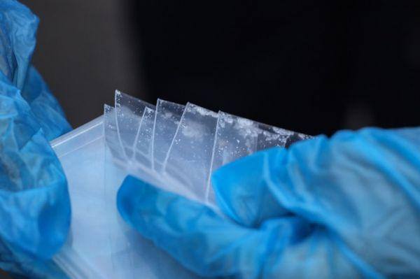 L’ice était caché dans la peluche