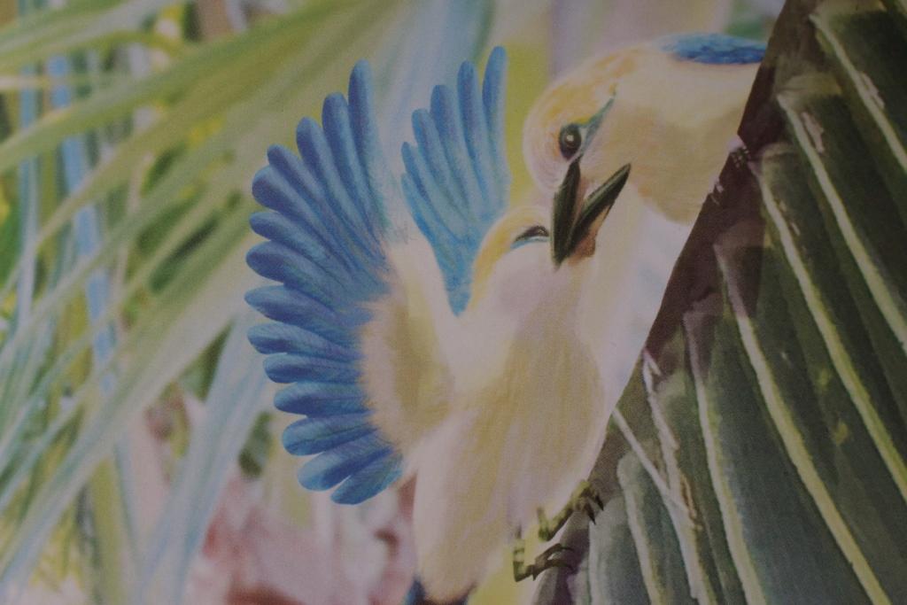 Les illustrations sont de Leia Chang Soi.