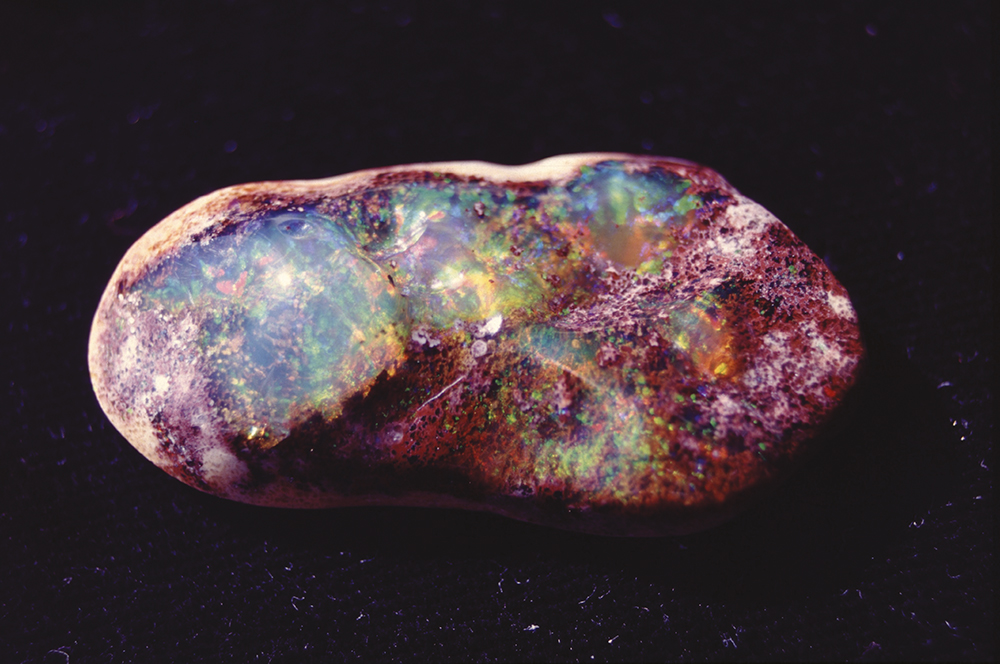 Superbe opale précieuse de Magdalena encore dans sa gangue de rhyolite. La pierre pèse plus de 250 carats.