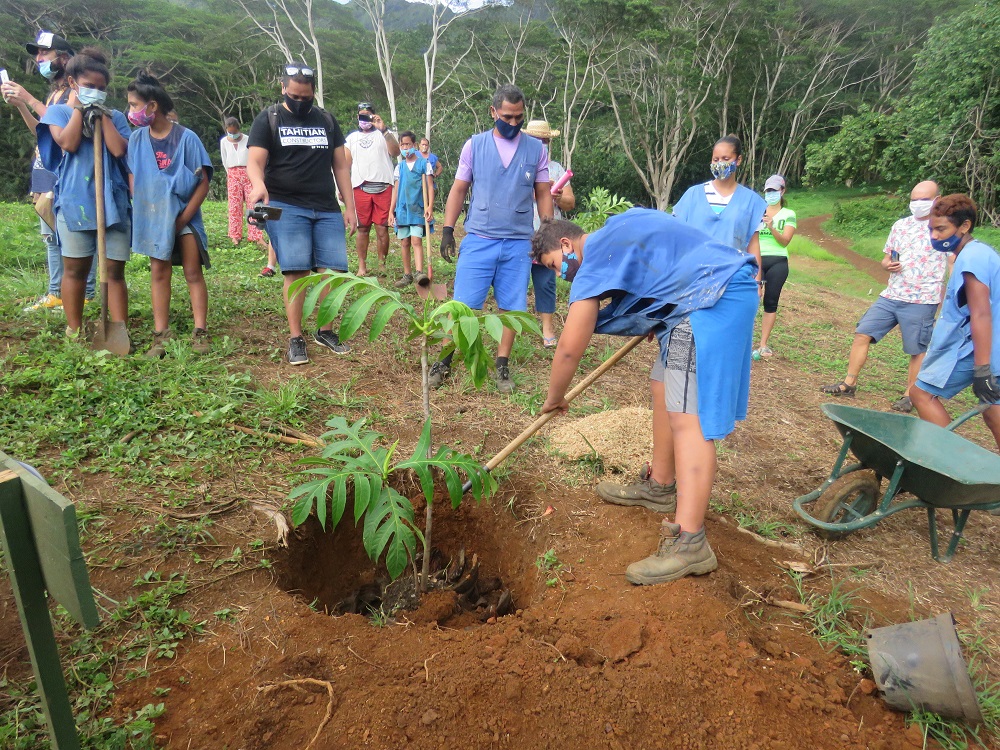 Un jardin citoyen en création
