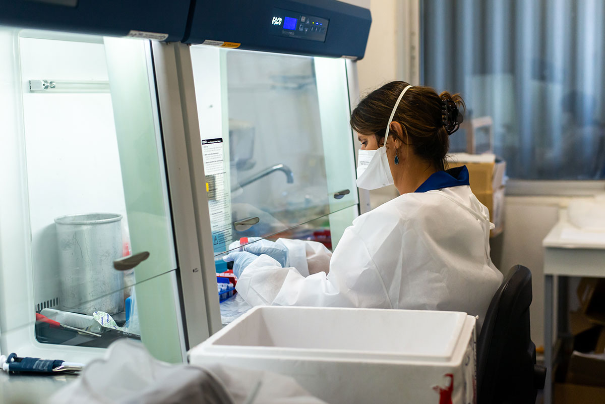 Covid-19: les dépistages massifs débutent timidement, à la veille du déconfinement