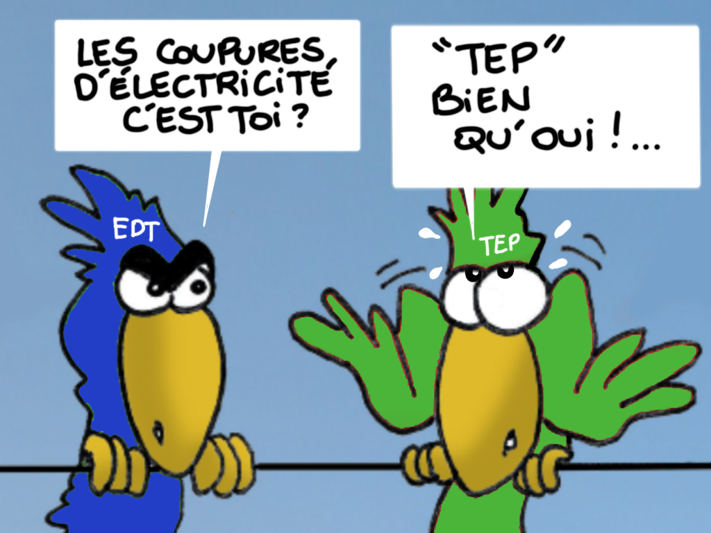 "TEP ben qu'oui, TEP ben qu'non", par Munoz