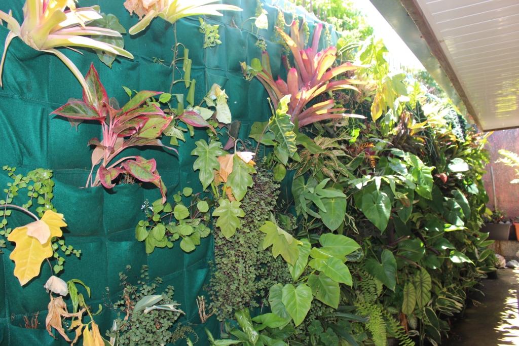 Freddy Mou rêve de Haute couture