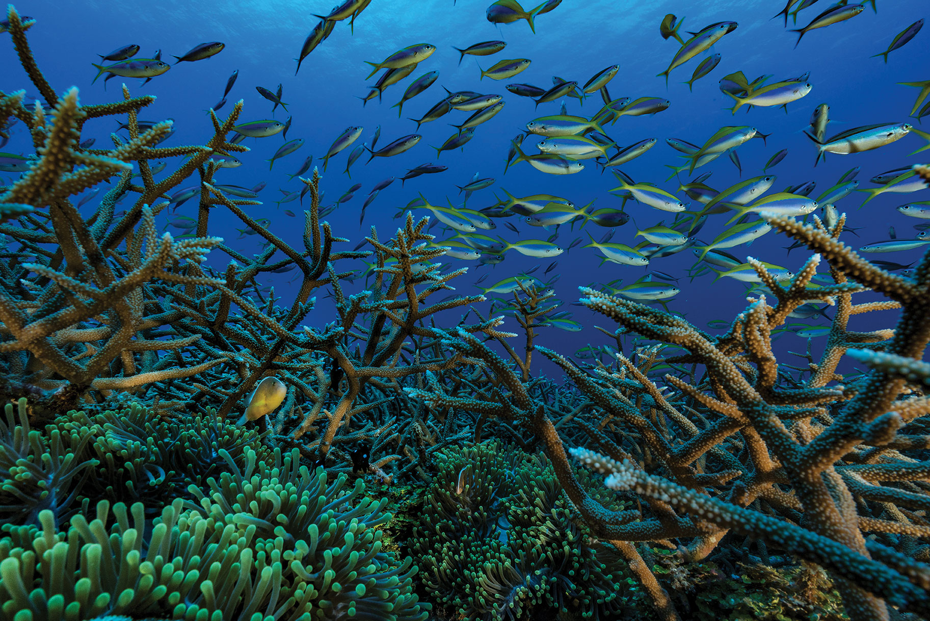 Le gouvernement précise sa stratégie pour les aires protégées