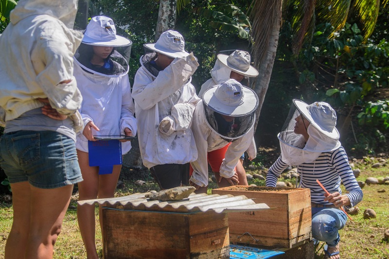 ​Linnea Rocher, Marquisienne de cœur, apicultrice de métier