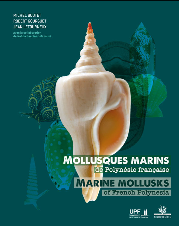 Plus de 3 000 mollusques marins référencés dans un livre hors-norme