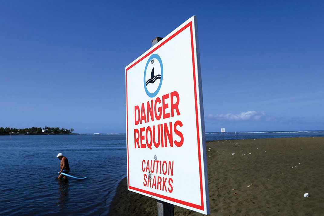 La Réunion: des écoles de surf rouvrent, huit ans après des attaques de requins