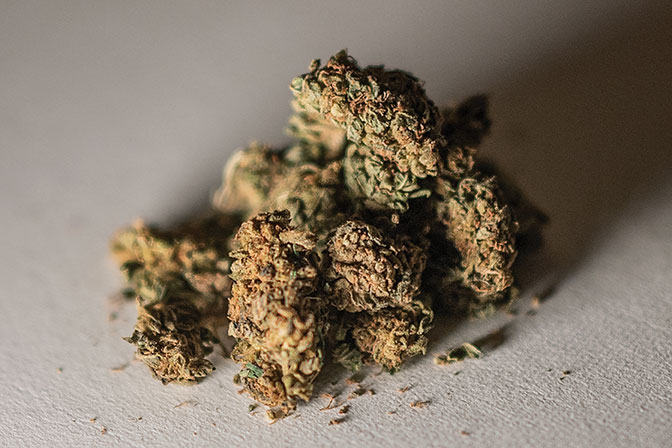 "Cannabis récréatif" : une légalisation plébiscitée par une large consultation citoyenne