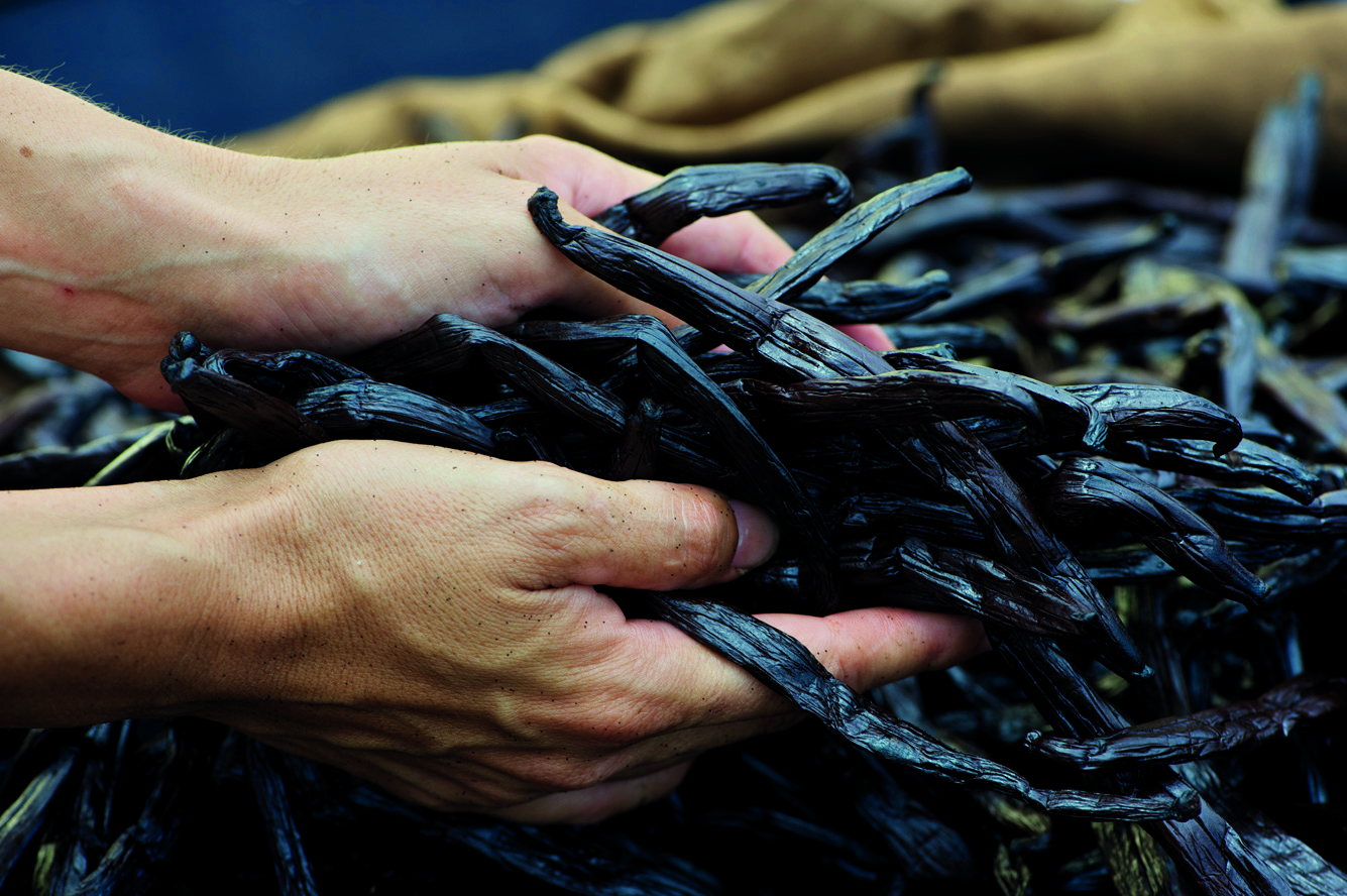 La réforme qui secoue la vanilleraie