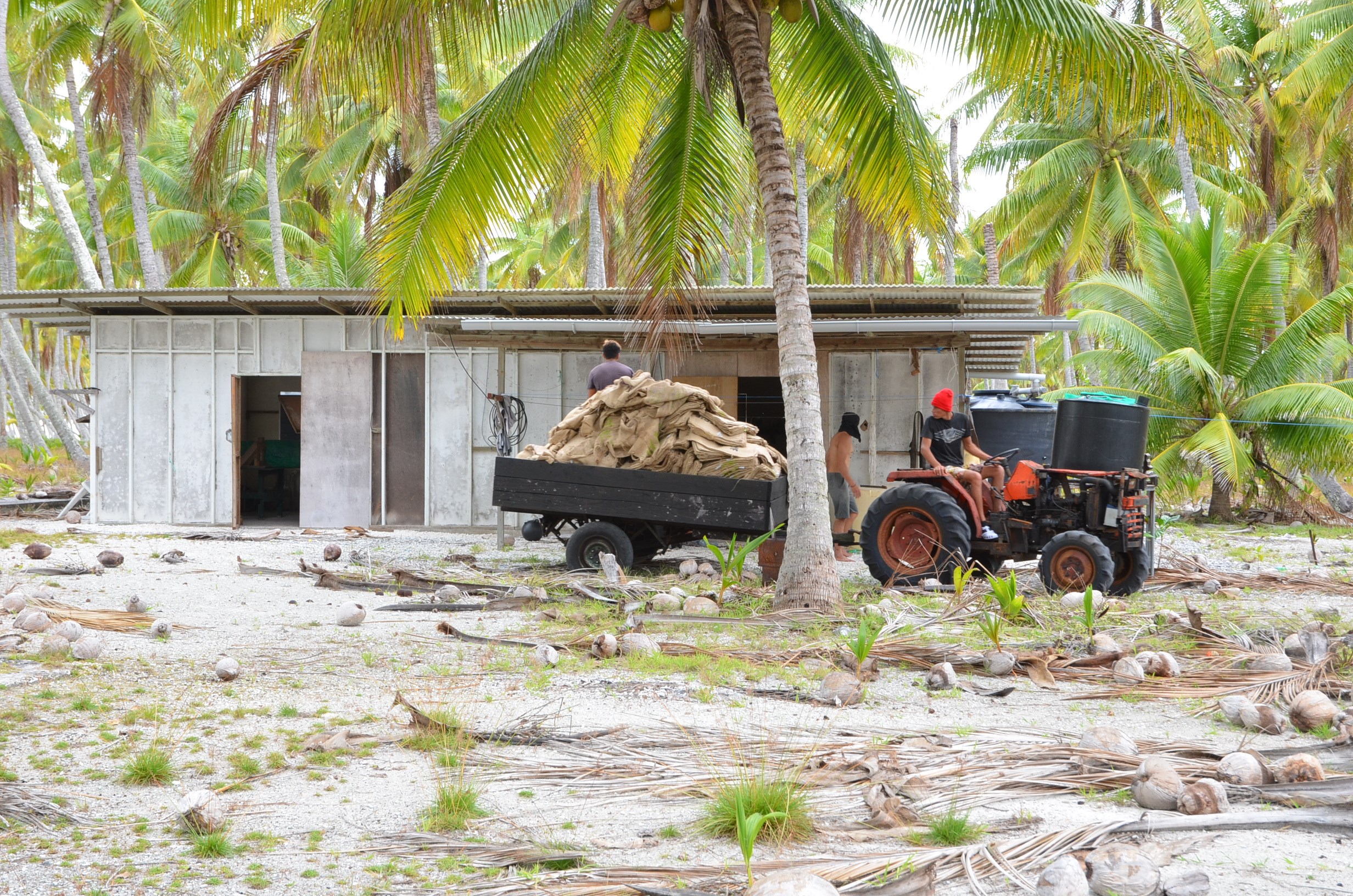 Appropriation "contestée" de sept atolls aux Tuamotu par le Camica