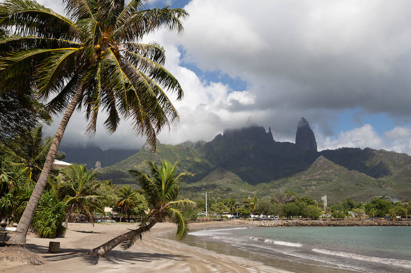 ​Morsure de requin à Ua Pou : plus de peur que de mal