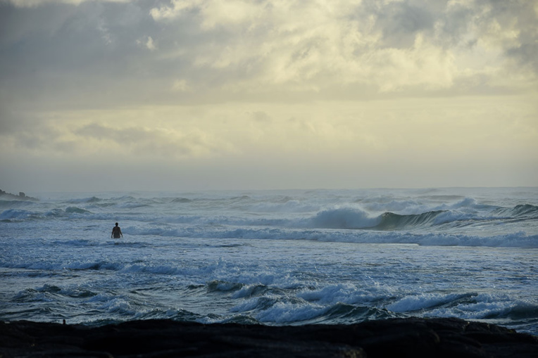 L'usage de répulsifs anti-requins peut réduire le nombre des attaques, selon une étude