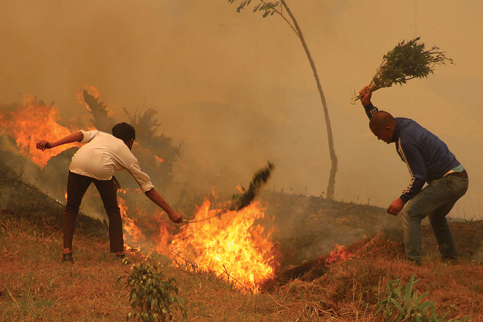 Le Népal connaît ses feux de forêt les plus violents de la décennie