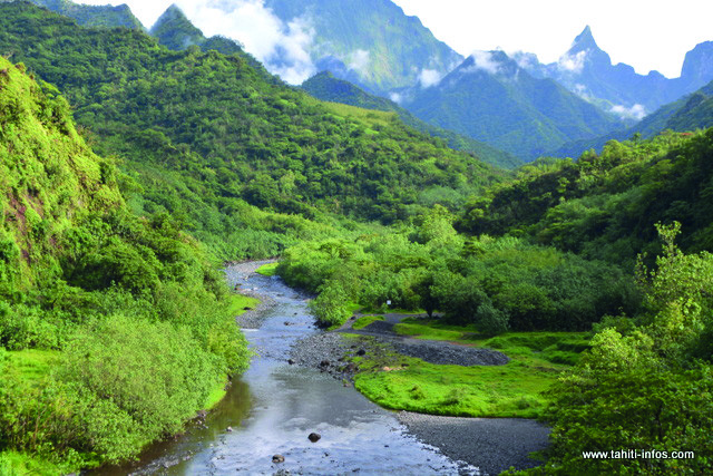 ​Une jeune femme décède après une chute dans la Papenoo