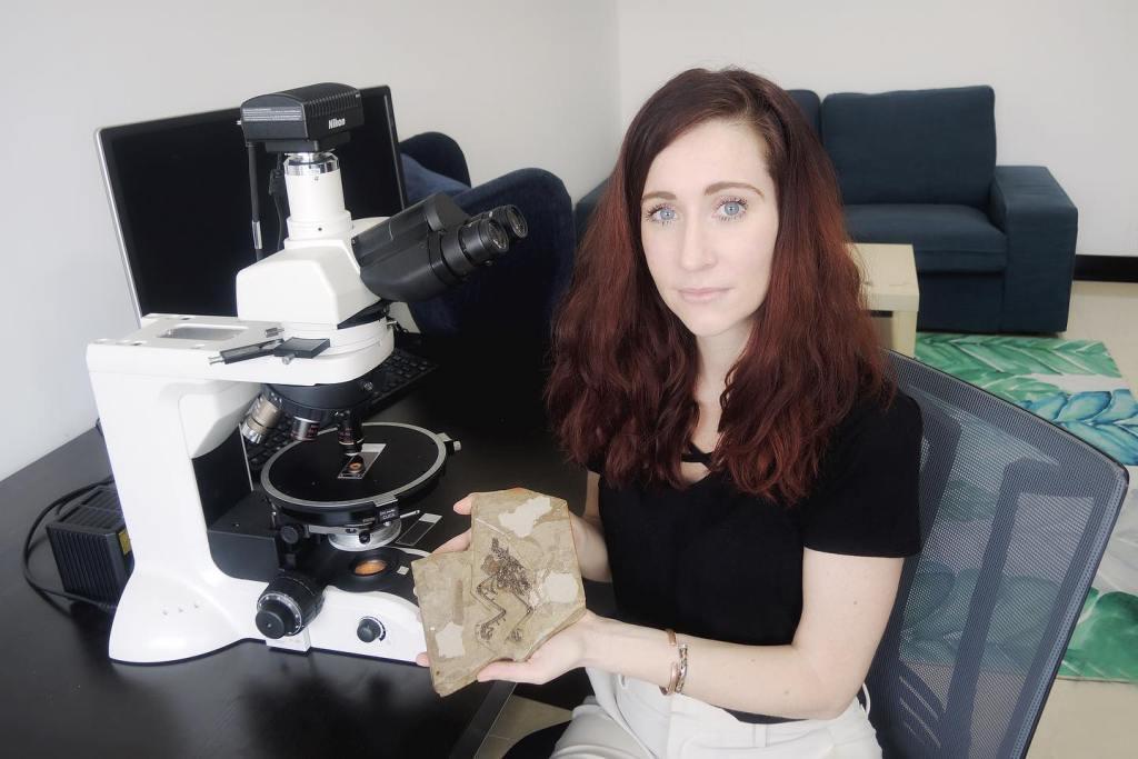 Alida Bailleul, la passion du vivant