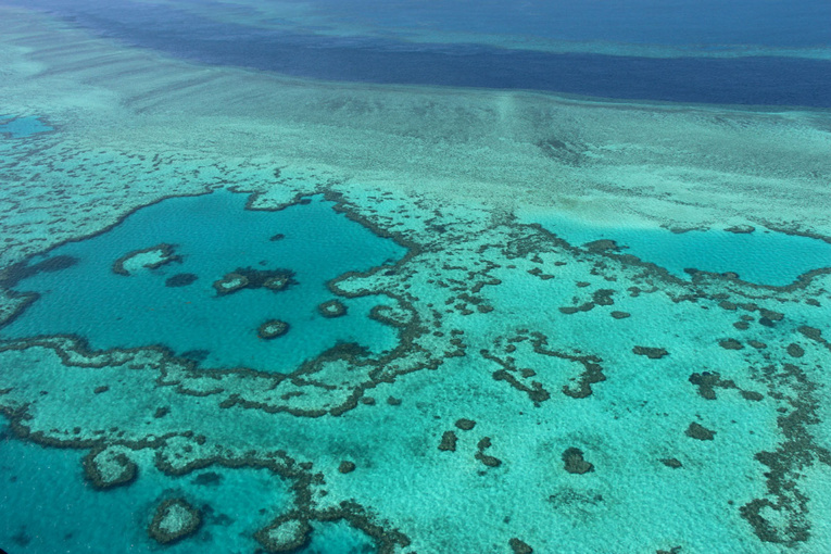 Australie: des techniques pour "ralentir de 20 ans" la disparition de la Grande barrière de corail