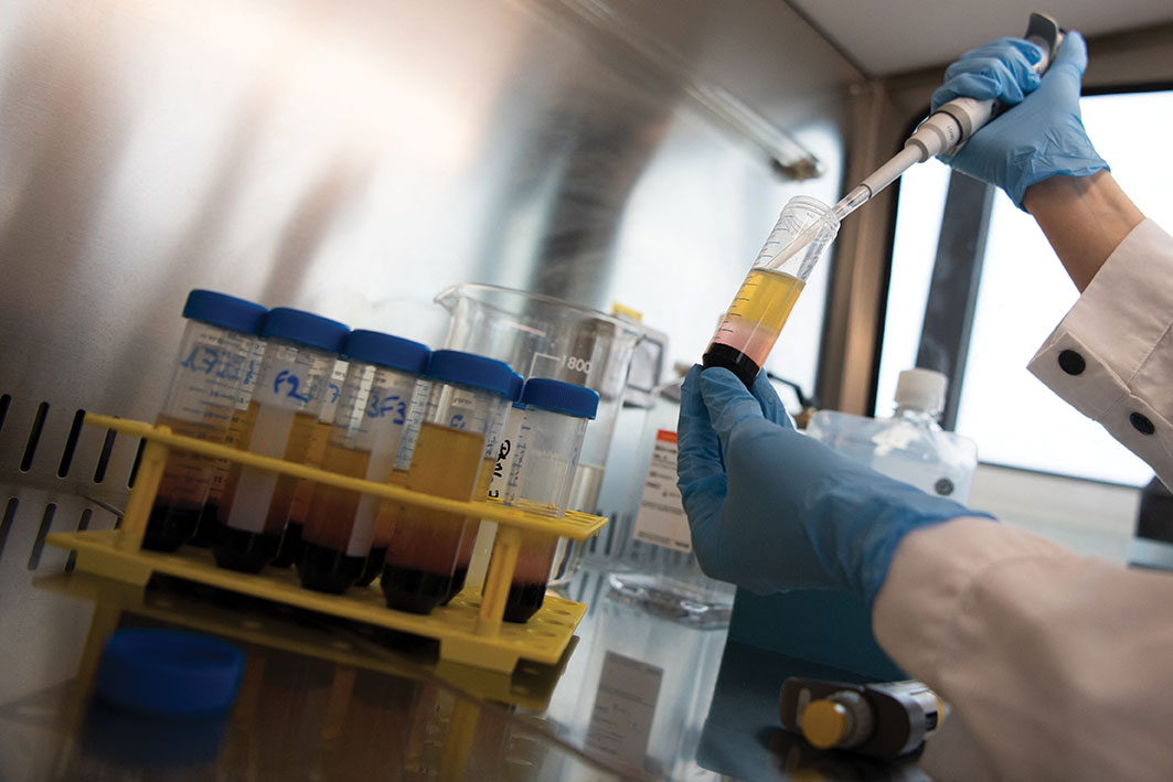 Covid-19 : trois cas au total de variant indien en Nouvelle-Aquitaine