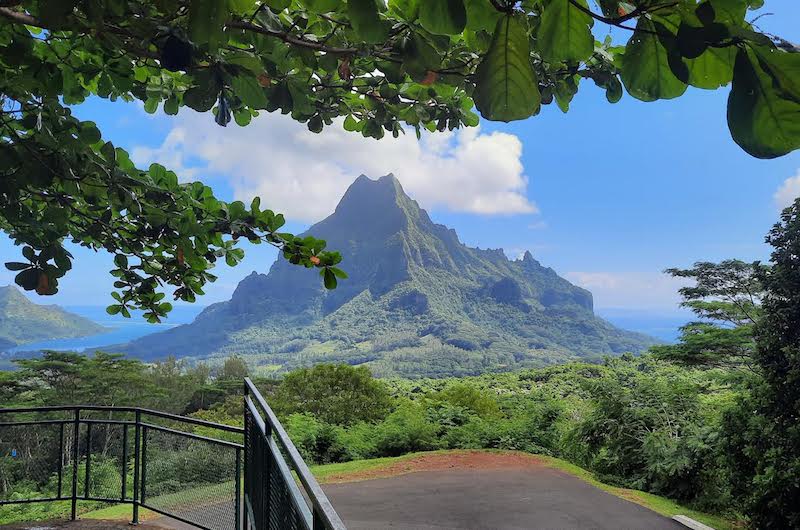 ​Grottes tapu de Piha'ena : Le Pays réagit