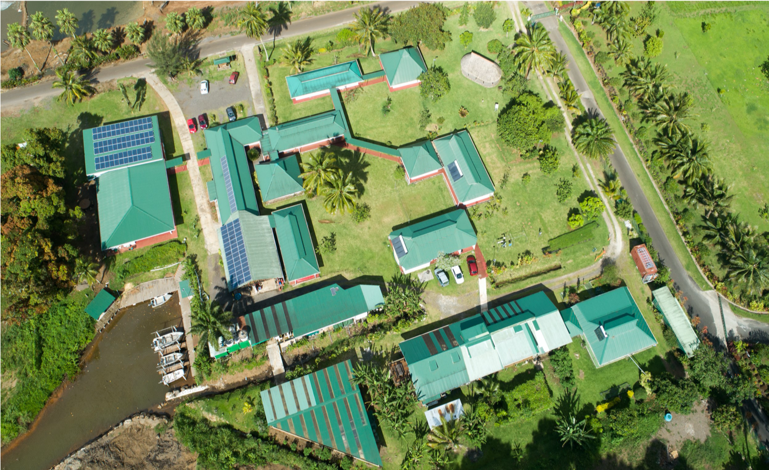 50 ans du Criobe, pionnier de la recherche sur les récifs coralliens