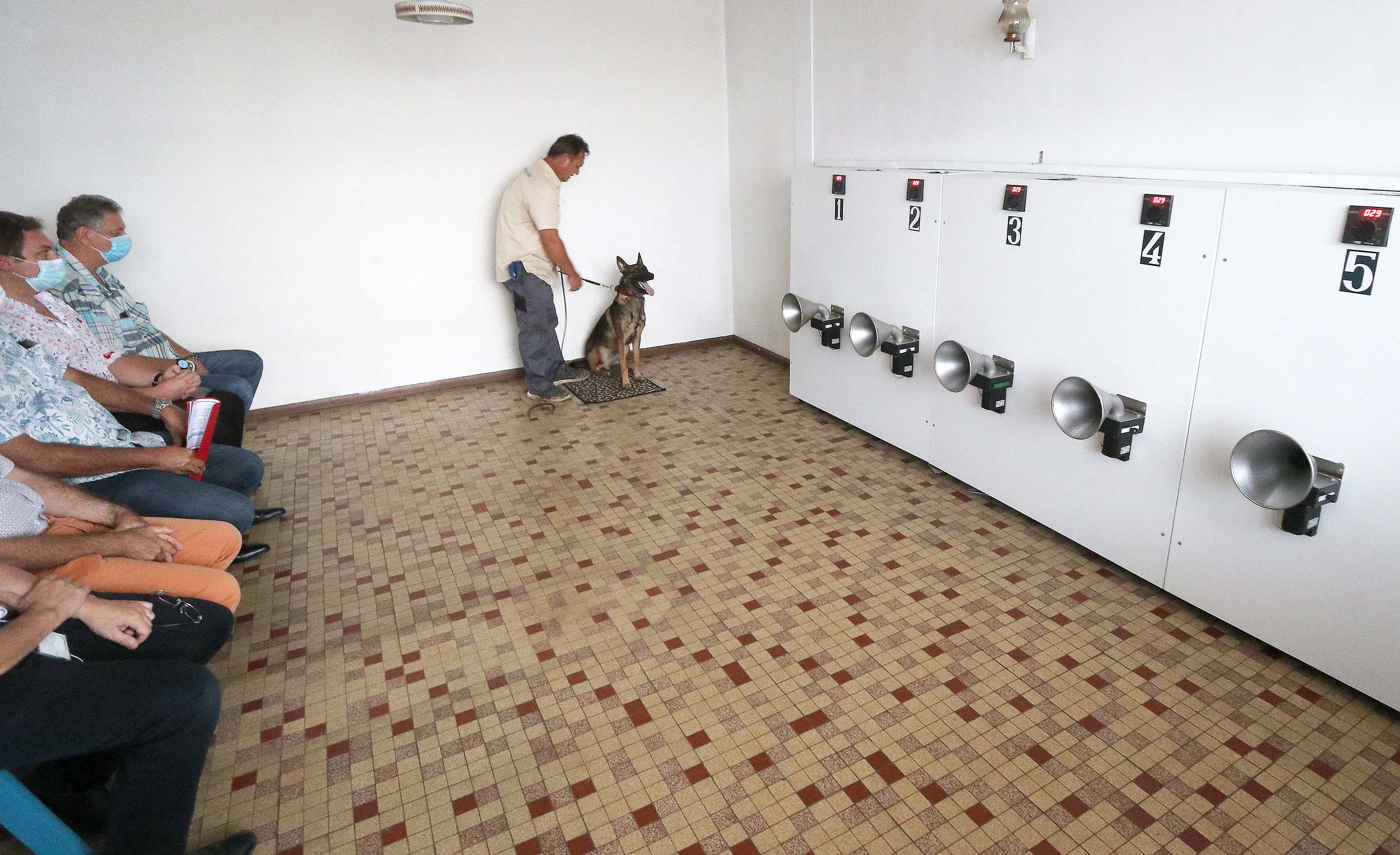 ​Dresser les chiens détecteurs au fenua