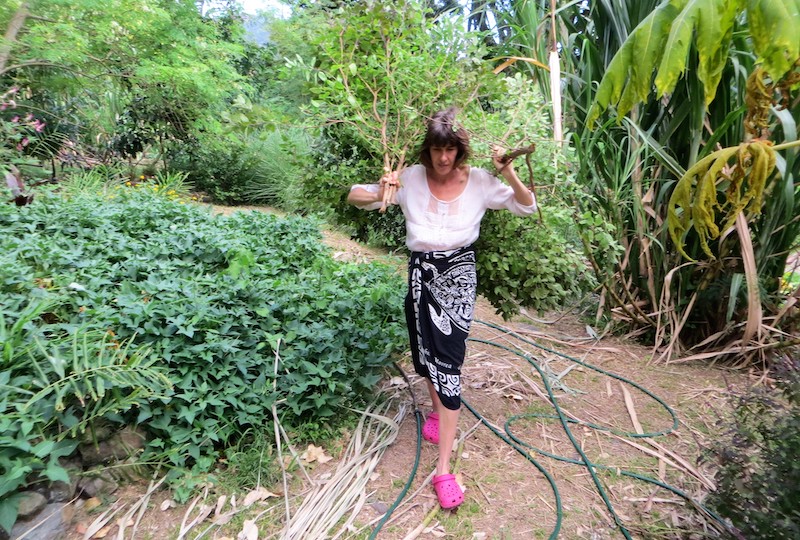 Carine Courthiade cofondatrice de l'ADAAE Vahekekua.