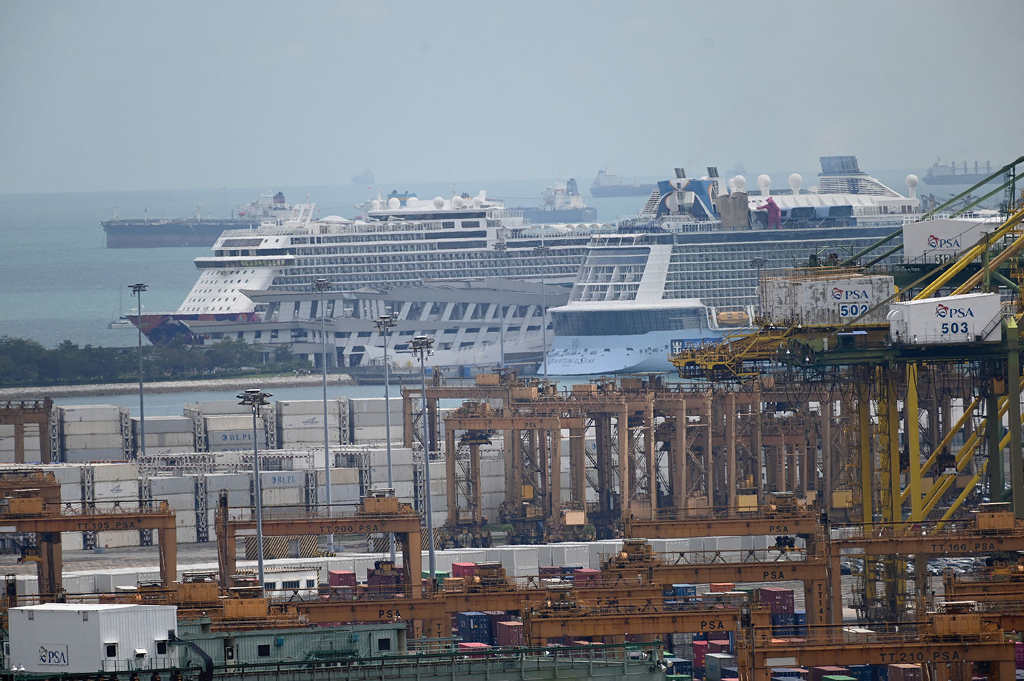 Royal Carribean retarde une croisière après la découverte de huit cas de Covid