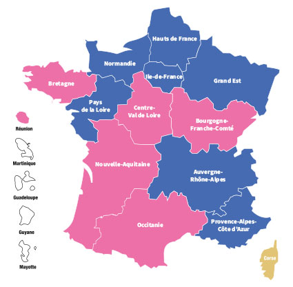 La droite conserve ses sept régions métropolitaines (en bleu), la gauche les siennes (en rose) et remporte La Réunion (résultats des autres territoires d'Outre-mer en attente). En Corse, les nationalistes gardent la majorité.