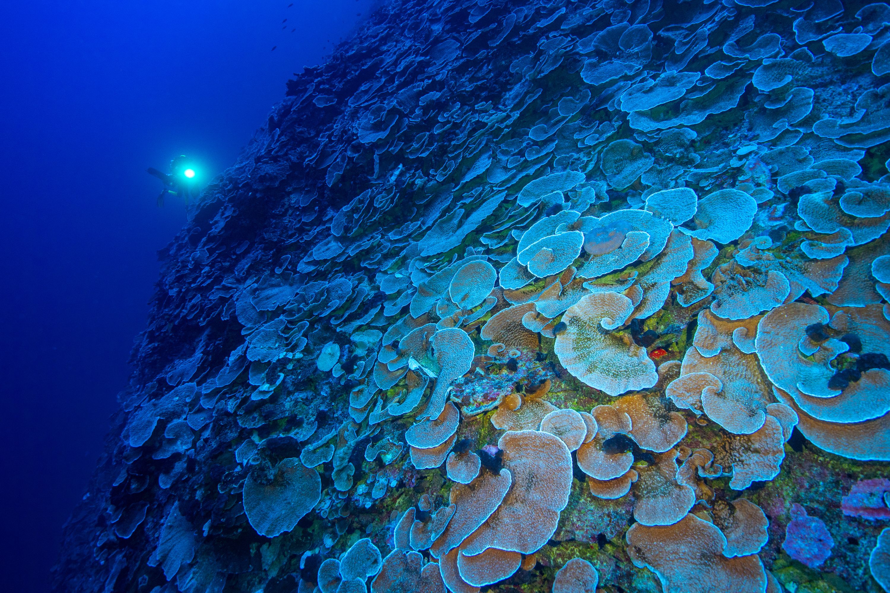 Crédit photo : Under the pole - Julien Leblond