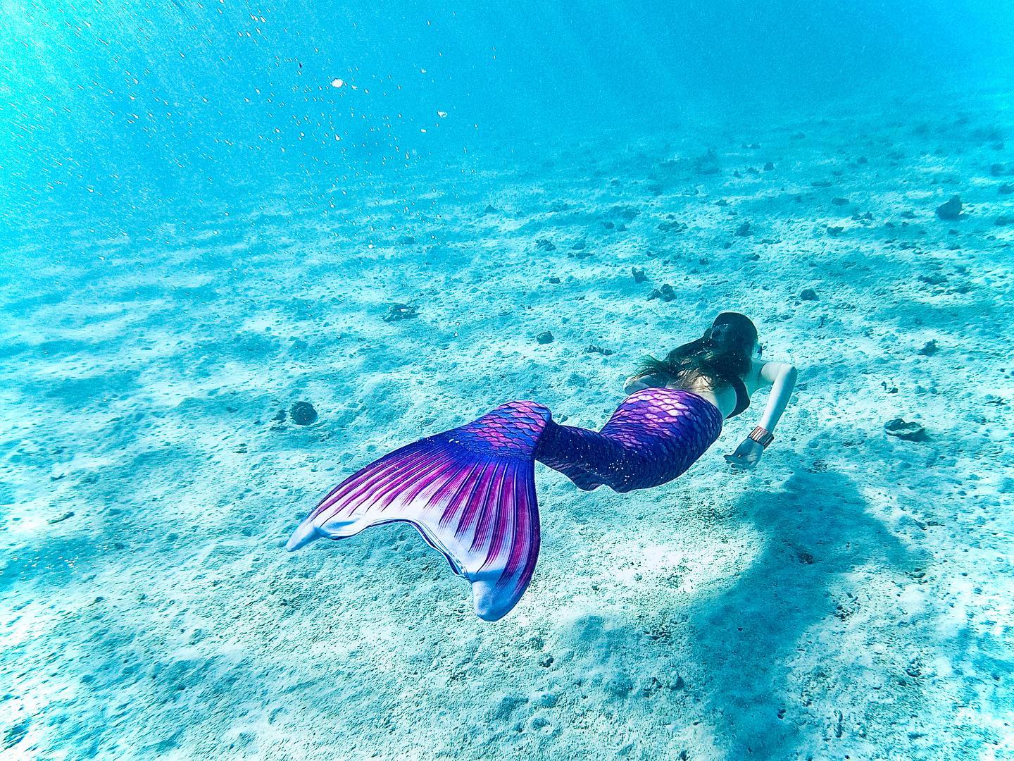 Le "mermaiding" proposé à Moorea 