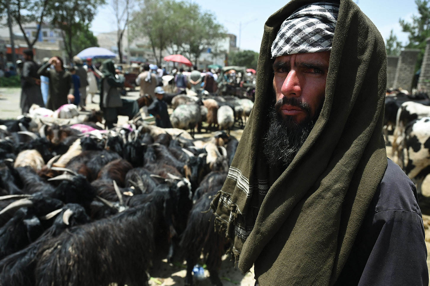 Afghanistan: des ambassades étrangères appellent les talibans à cesser leur offensive