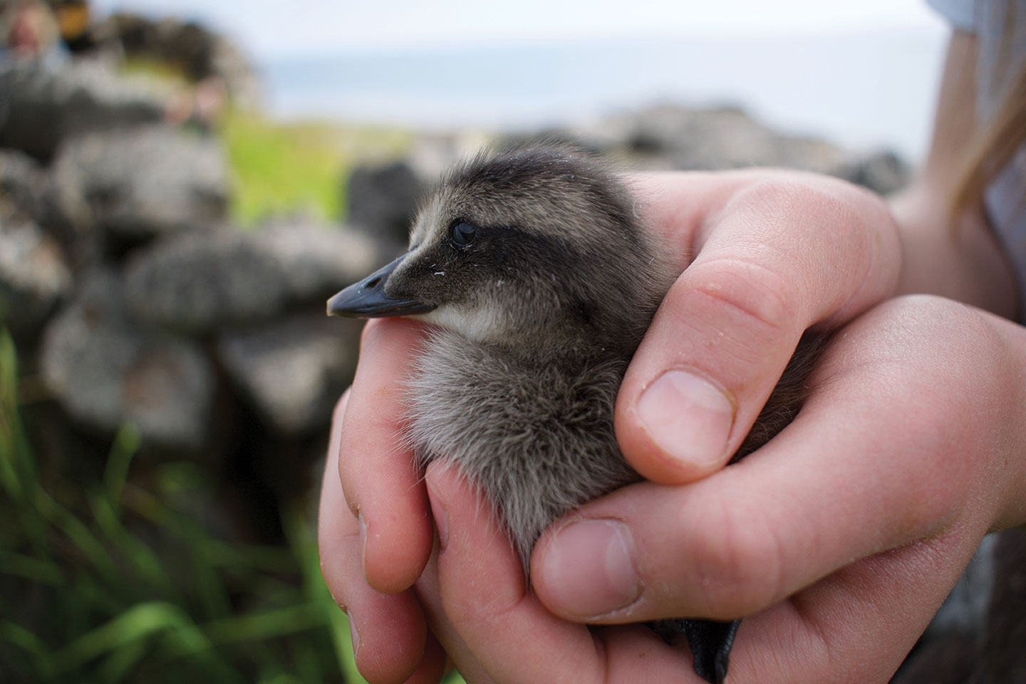Jeremie RICHARD / AFP