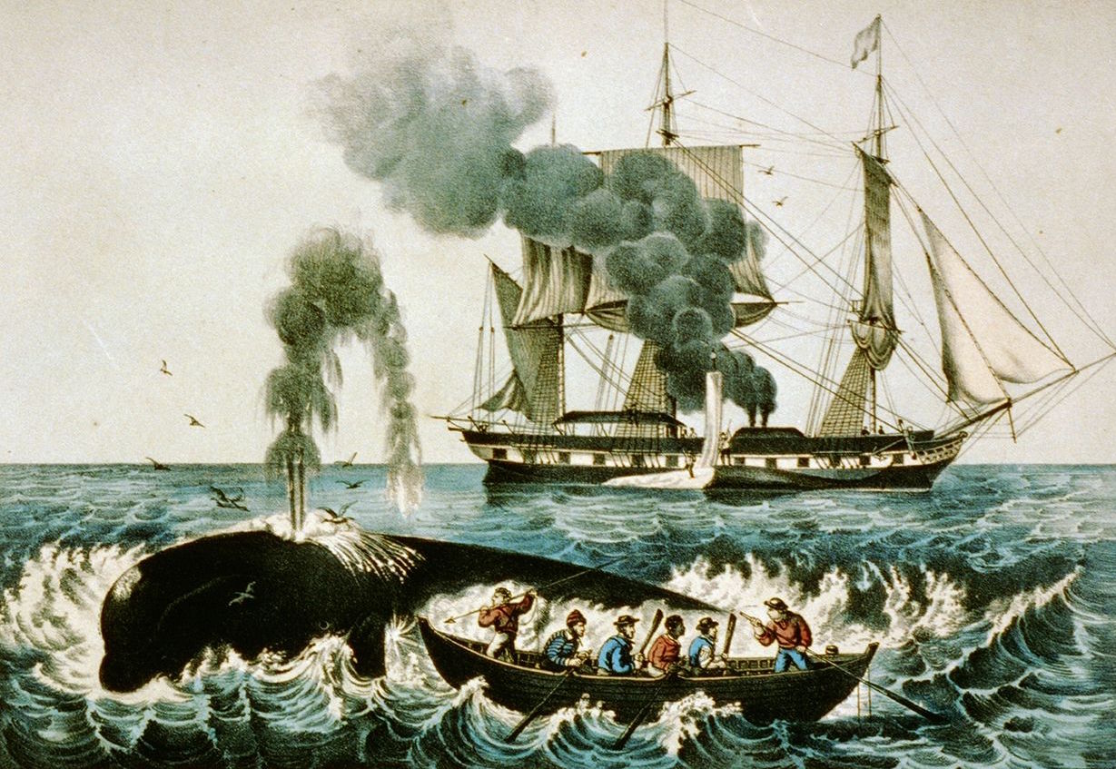 Ce sont les Européens qui, dit-on, enseignèrent aux Rurutu l’art de chasser la baleine, mais ce n’était pas une mince affaire pour la petite communauté qui devait d’abord acheter tout le matériel nécessaire...