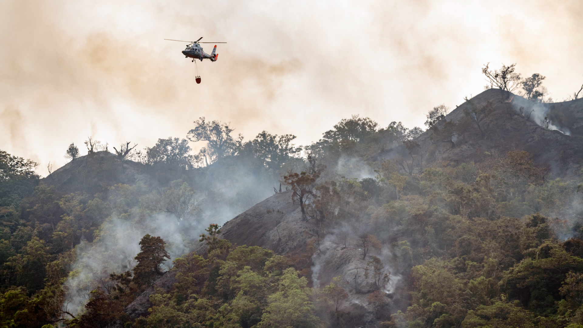 Deux hélicoptères Dauphin de la marine nationale ont été sollicités. Crédit photo : Forces armées en Polynésie française