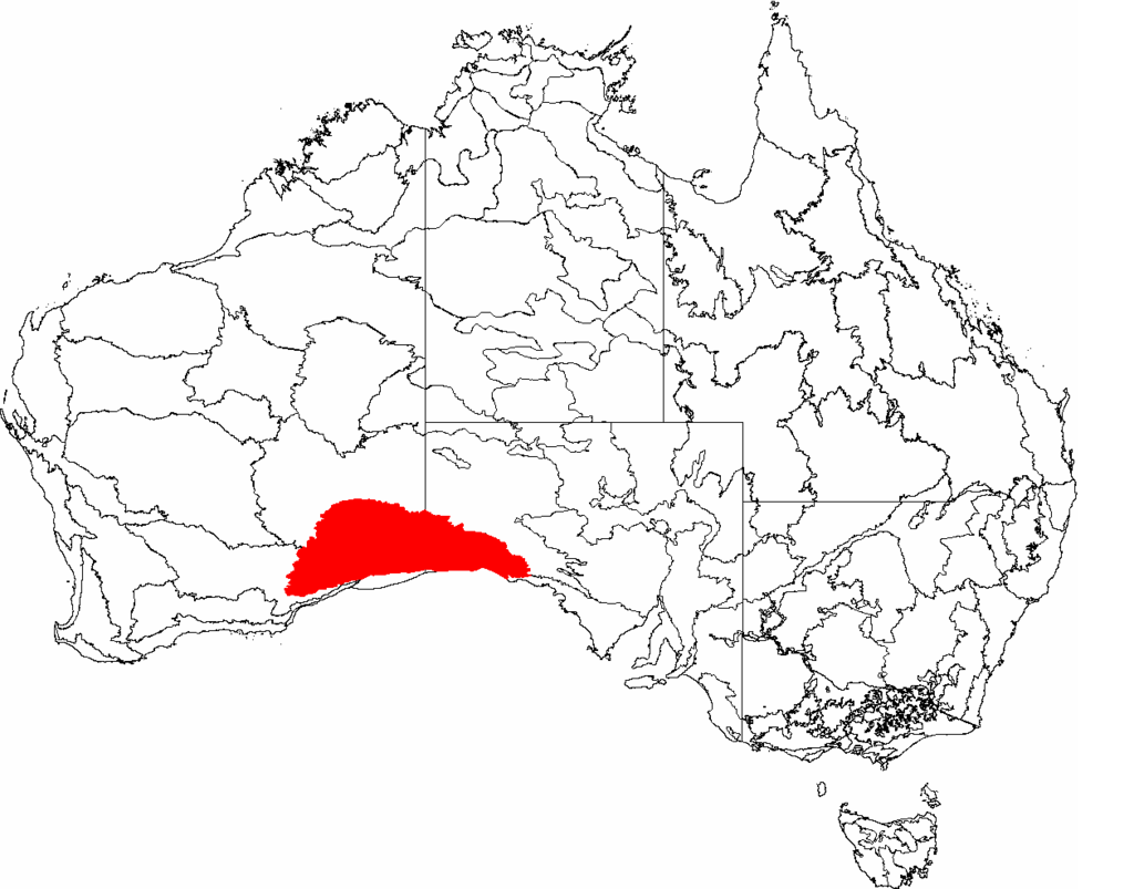 En rouge sur cette carte de l’Australie, la partie la plus désertique de Nullarbor qui faillit coûter la vie à Henri Gilbert.