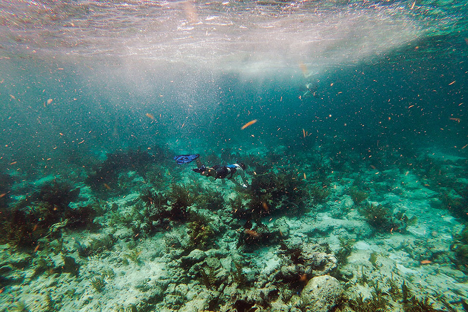 CHANDAN KHANNA / AFP