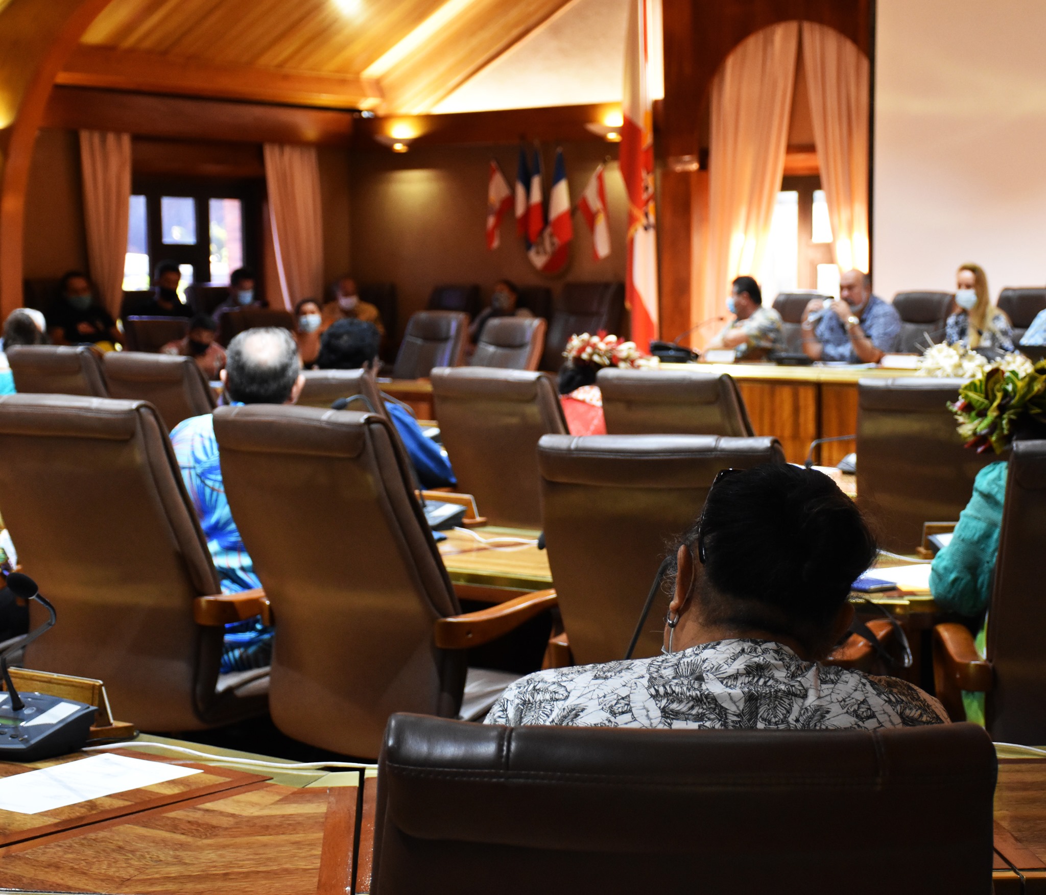 37 conseillers du Cesec, sur 48, ont approuvé l'avis défavorable rendu sur le projet de loi du Pays autorisant l'expérimentation de l'usage médical du cannabis en Polynésie française.