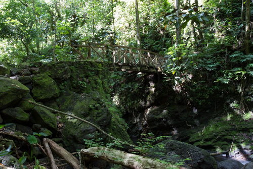 (Photo : Tahiti Héritage)