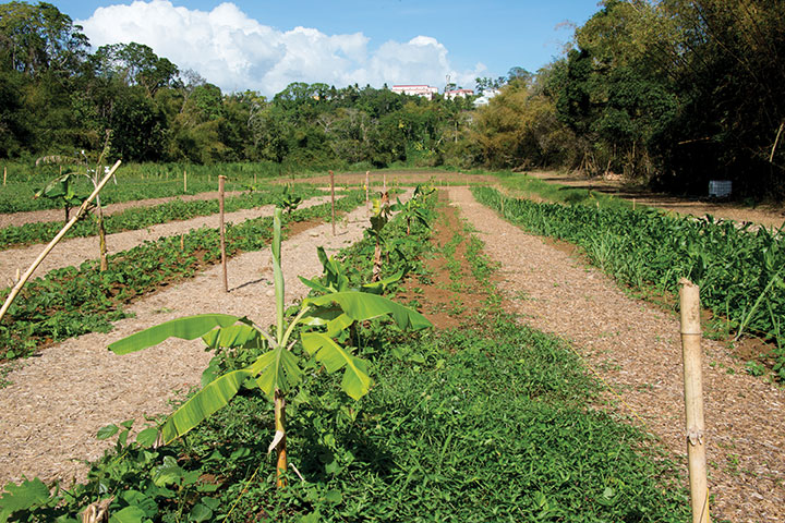 Helene Valenzuela / AFP