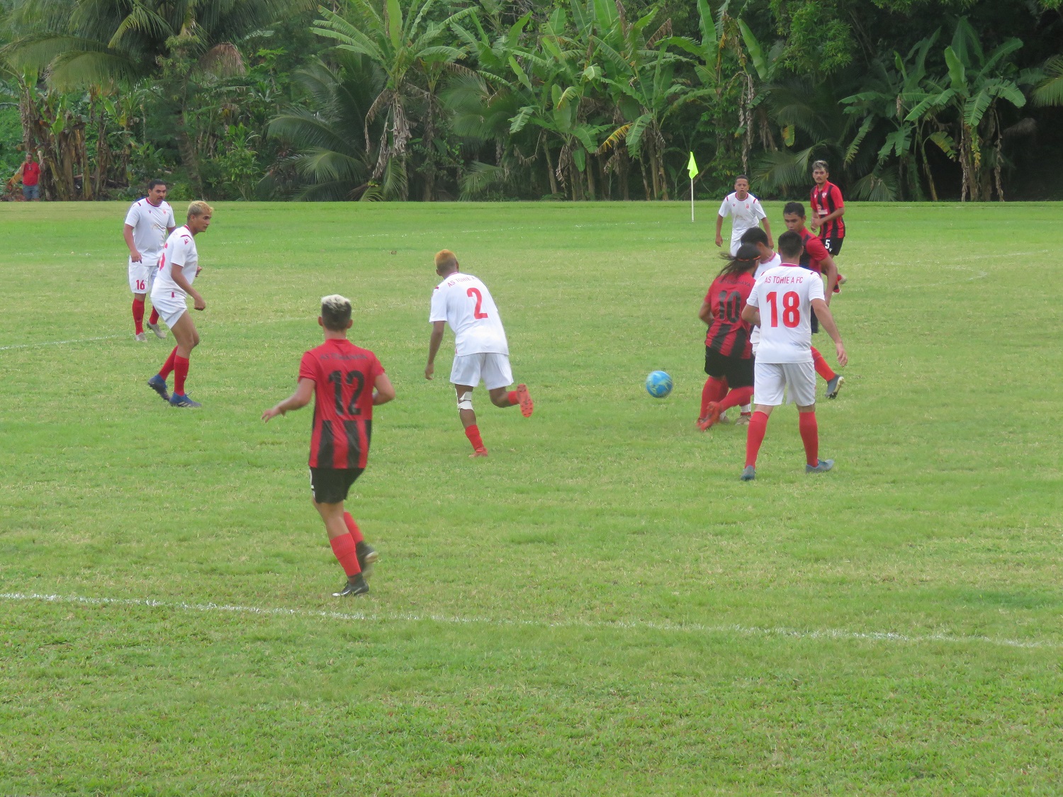 Tohiea (en blanc) a fait preuve d'une grande efficacité face à Temanava.