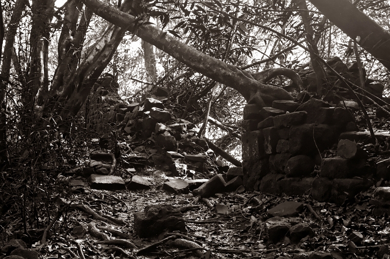 Fautaua : le cadavre est celui d’un jeune Japonais