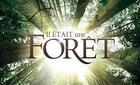"Il était une forêt", un film au coeur d'une campagne plus large pour les forêts