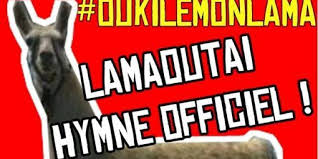 Une star est née : Serge le lama, après le "buzz", le marketing