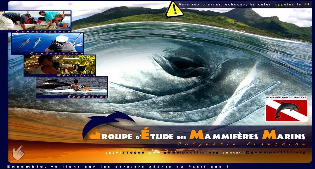 Une association polynésienne lauréate du dispositif de soutien de la Fondation Nicolas Hulot