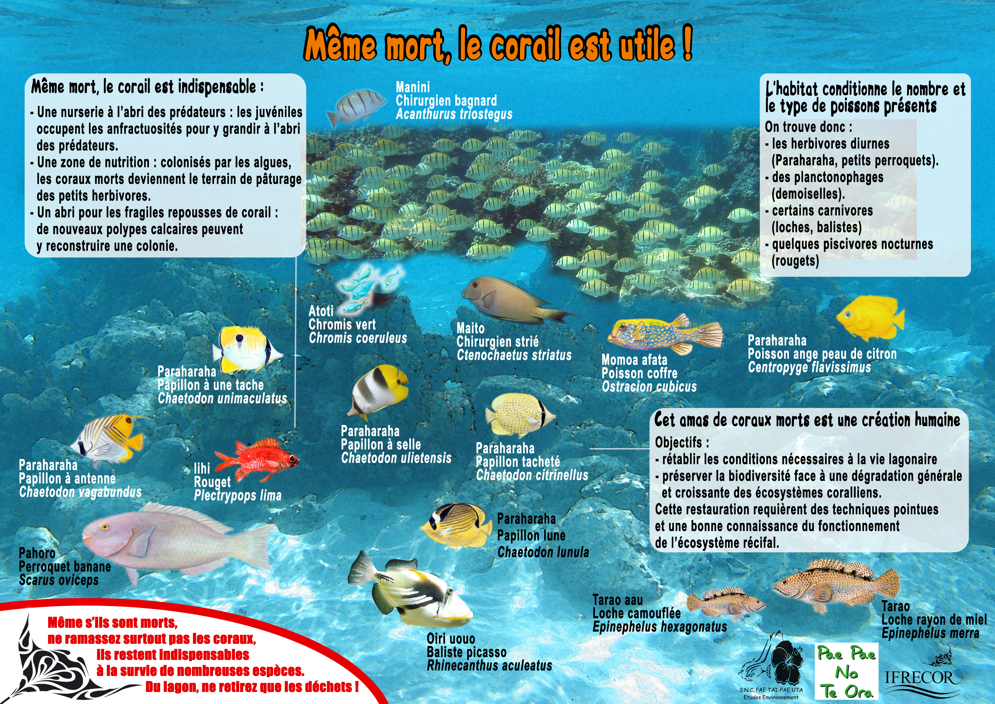 Le sentier  sous marin PK 18.