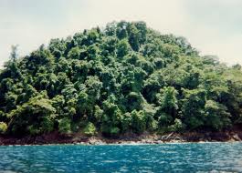 Des chercheurs français à la découverte du "Monde perdu" de Papouasie