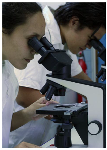 Rentrée de l’école doctorale du Pacifique Mercredi 27 novembre