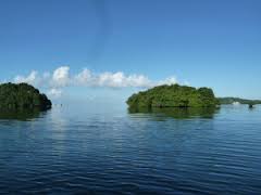 Le Pacifique au chevet de son environnement