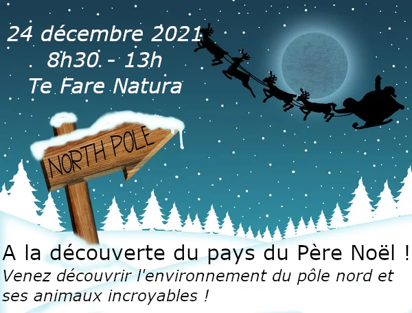 Noël sous le signe du monde polaire au Fare Natura