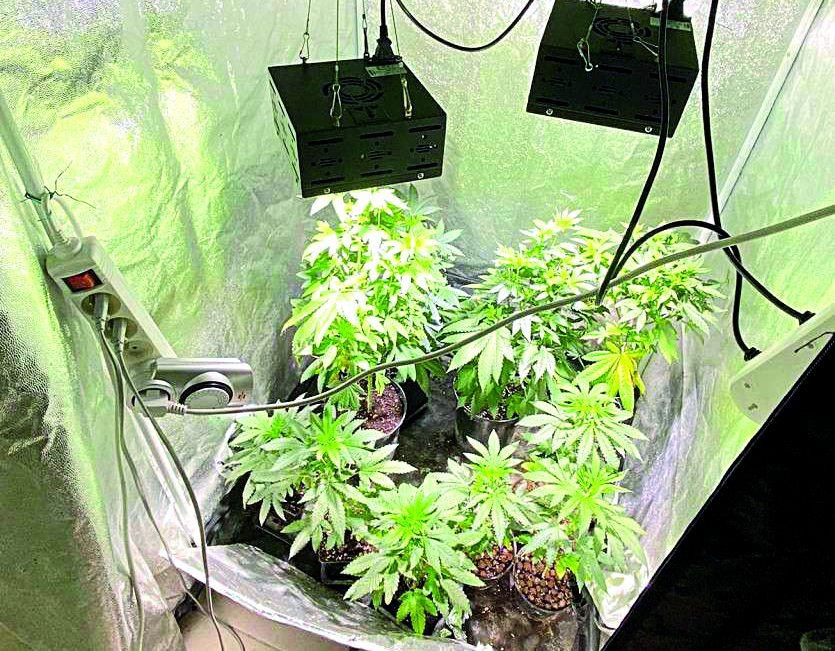 Un trafic d'herbe “online” stoppé par les gendarmes