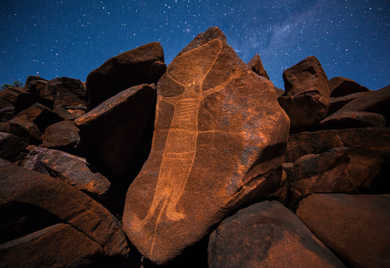 Fifo 2014 : présentation des 14 films en compétition